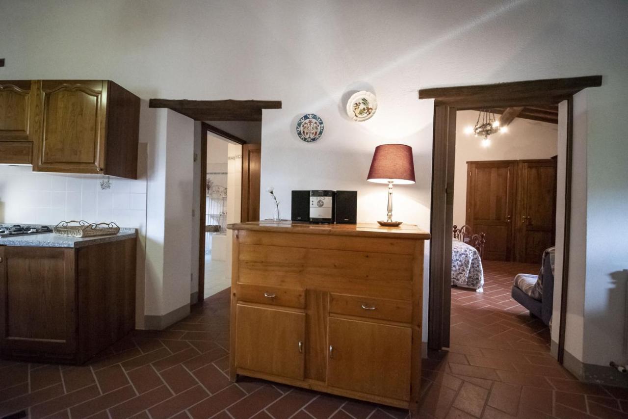 Casa Selvolini - Volpaia Apartment Radda in Chianti Exterior photo